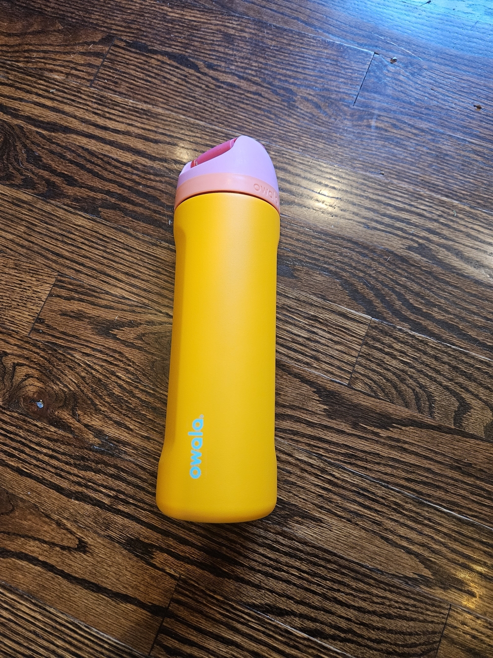 Owala FreeSip stainless steel water bottle 24-ounce In Tropical